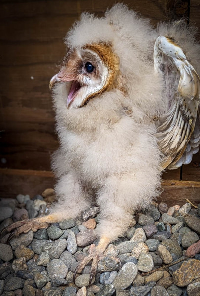 20230608-WA0001-2-FINAL