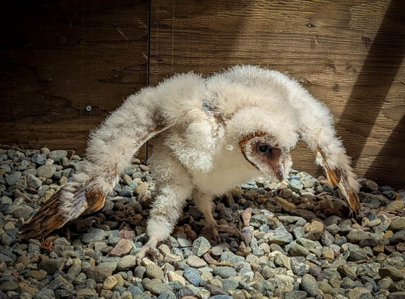 20230608-WA0002-2-FINAL