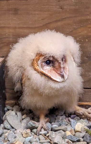 20230608-WA0006-2-FINAL