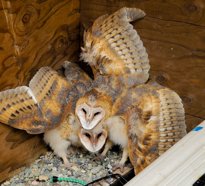 20230624_110049-FINAL