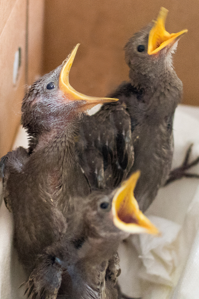 BD0A4507-Edit-Edit-Edit-Edit