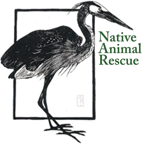 Native Animal Rescue